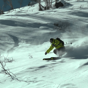 Matt Appleford