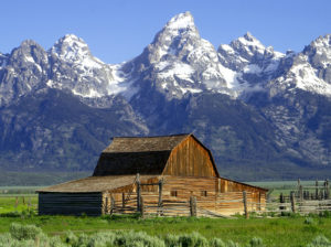 Big City Mountaineers